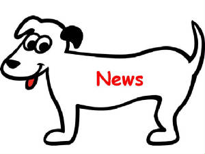 CSNewNews.jpg