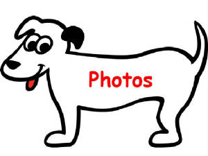 CSNewPhotos.jpg