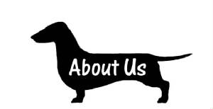 Logo-AboutUs.jpg