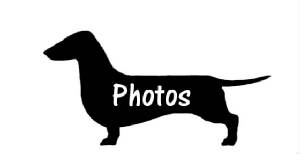 LogoPhotos.jpg