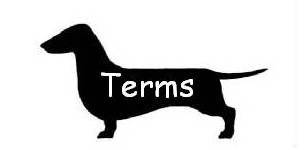 Terms.jpg
